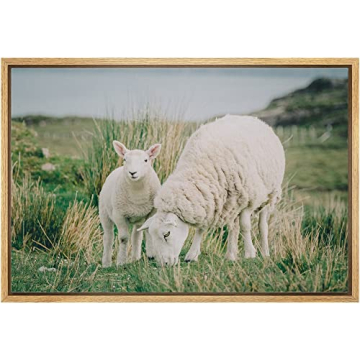 wall26 Framed Canvas Print Scotland Ireland Countryside Sheep Lamb Nature Photography