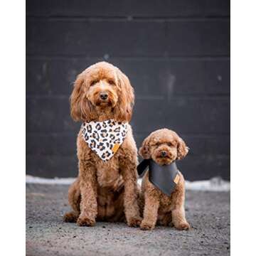 Remy+Roo Dog Bandanas - 2 Pack | Boujee Set | Premium Durable Fabric | Unique Shape | Adjustable Fit | Multiple Sizes Offered (Large)