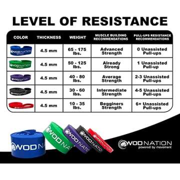 WOD Nation Pull Up Assistance Band - 41 Inch Resistance Bands for Chin Ups, Stretch, Mobility & Fitness (30-60lbs Black)