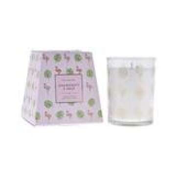 DW Home Vivid Collection Uniquely Scented Hand Poured Candles, Medium Single Wick Candles, 40 Hours ...