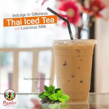 Thai Iced Tea Mix, Traditional Restaurant Style, 16 oz. (Pack of 2)