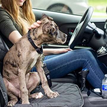 Birsppy Pet Front Seat Cover for Dogs, Luxury Edition, Heavy Duty & Waterproof, Fits Cars, SUVs, Trucks, Washable, Non-Slip, Quilted, Padded, Black, Dog Safety Belt Included