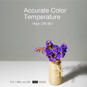 Godox SL-60W 60W LED Video Light for Video & Photography