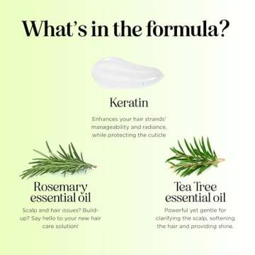 Tea Tree Shampoo and Conditioner Set - Sulfate Free Clarifying Shampoo and Conditioner for Oily Hair & Scalp Care with Cleansing Tea Tree Oil - Complete Oily and Dry Scalp Treatment for Build Up