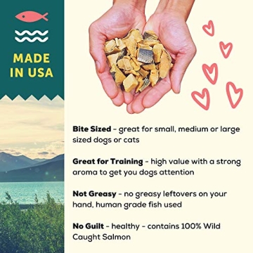 Unique Freeze Dried Salmon Treats for Dogs | Healthy & Natural