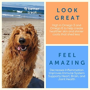 Unique Freeze Dried Salmon Treats for Dogs | Healthy & Natural