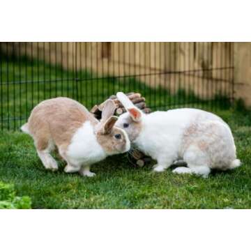 New Country Organics Organic Rabbit Food | 15% Protein