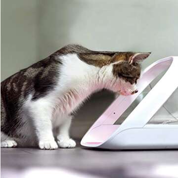 SureFeed Microchip Pet Feeder Connect - Requires Hub for Smart Feeding