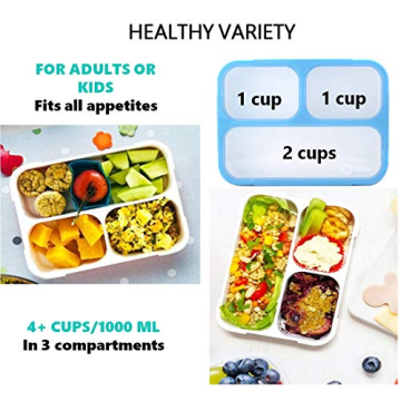 Kinsho Bento Box: Leakproof Lunch Containers for All