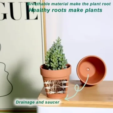 Vensovo Terra Cotta Pots - Durable Planting Solution 20 Pack