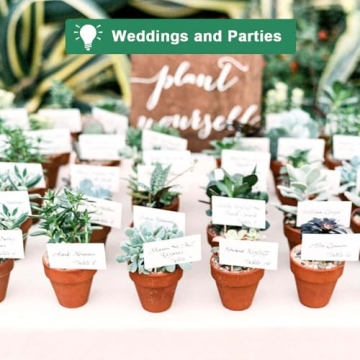 Vensovo Terra Cotta Pots - Durable Planting Solution 20 Pack