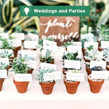 Vensovo Terra Cotta Pots - Durable Planting Solution 20 Pack