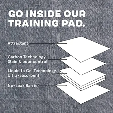 Barkbox Odorless Puppy Pads | 70 Count | Ultra Absorbent Charcoal