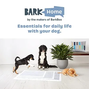 Barkbox Odorless Puppy Pads | 70 Count | Ultra Absorbent Charcoal