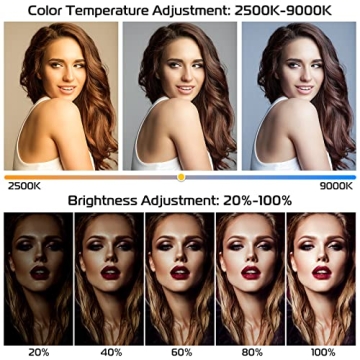 Ultimate Ulanzi Smartphone Video Rig with Light for Content Creators