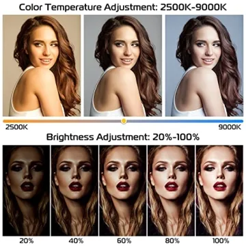 Ultimate Ulanzi Smartphone Video Rig with Light for Content Creators