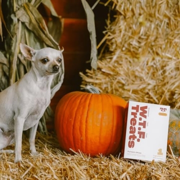 Healthy Pumpkin Dog Treats for All Dogs' Enjoyment