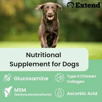 Extend Joint Care Supplement for Happy Active Dogs