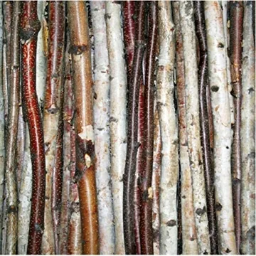 Natural 48" Decorative Birch Sticks for Crafting