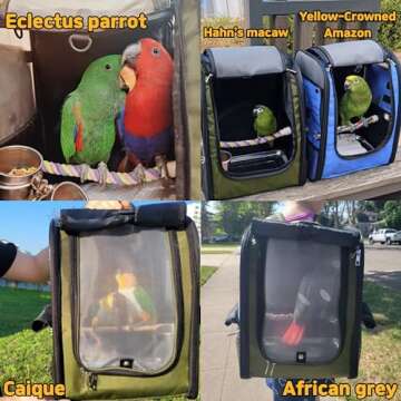Birds Day Bird Carrier Backpack-Parrot Travel Cage with 2PCS Perch and Food Bowl, Stainless Steel Tray (Dark Olive Green, Small to Medium Birds)