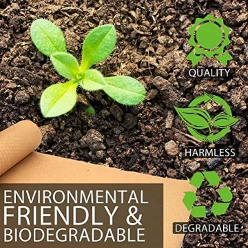 Eco-Friendly Honeycomb Packing Paper for Safe Moving