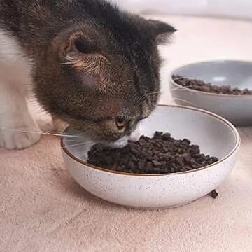 Ceramic Cat Bowls, Howise Pet Bowl Cat Dishes for Food and Water, 5.3 In Cat Food Dish 3 Pack Cat Food Bowls Set Small Dog Dish, Matte White Finish