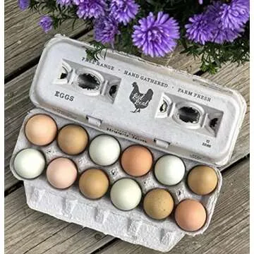 25 Vintage Egg Cartons - Eco-Friendly & Adorable Design