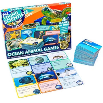 The Young Scientist Ocean Animal Card Games, 4 Card Games in 1, Matching, Bingo, Memory, Trivia, Han...