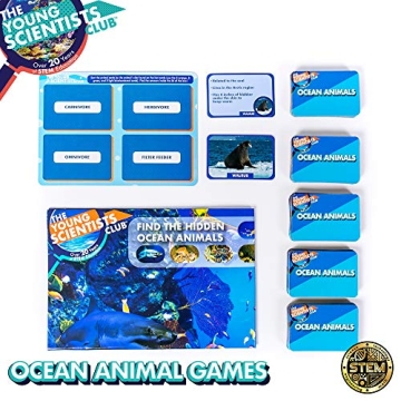 Young Scientists Ocean Animal Card Game for Kids Fun