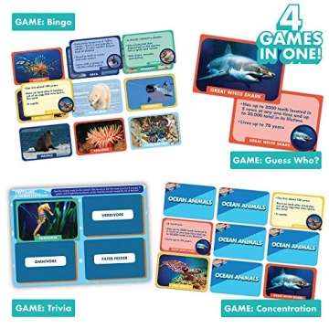 Young Scientists Ocean Animal Card Game for Kids Fun