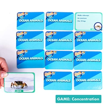 Young Scientists Ocean Animal Card Game for Kids Fun