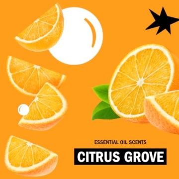 Molly's Suds Foaming Hand Soap - Gentle and Nourishing