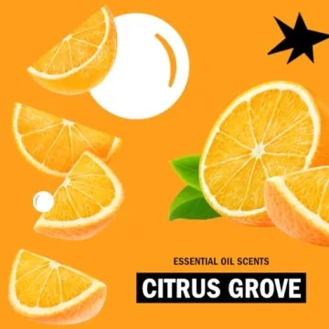 Molly's Suds Foaming Hand Soap - Gentle and Nourishing