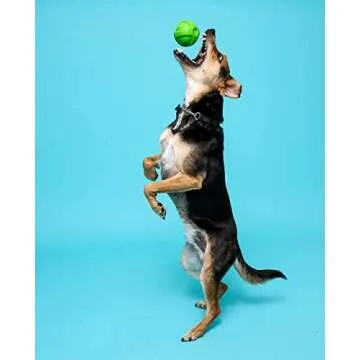 Hartz Dura Play Bacon Scented Dog Toy – 3 Pack for Small Dogs