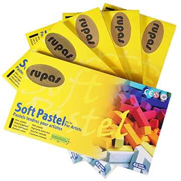 Rupas 48 Color Soft Dry Pastel Chalk Set for Artists