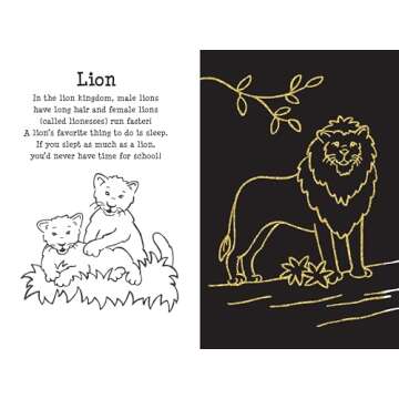 At the Zoo Scratch & Sketch (An Art Activity Book for Animal Lovers and Artists of All Ages) (Trace-Along Scratch and Sketch)