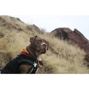 HP GryffinDog Dog Bandana (One Size Fits Most for Medium to Large Dogs)