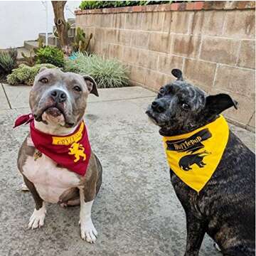 HP GryffinDog Dog Bandana (One Size Fits Most for Medium to Large Dogs)