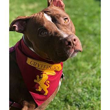 HP GryffinDog Dog Bandana (One Size Fits Most for Medium to Large Dogs)