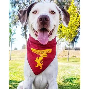 HP GryffinDog Dog Bandana (One Size Fits Most for Medium to Large Dogs)