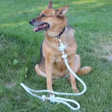 PUPPYSENTIALS 5ft Soft Cotton Dog Leash - Unique Gift