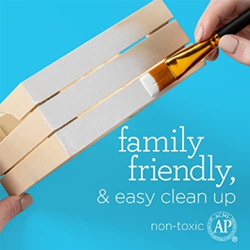 Apple Barrel Acrylic Paint Set, Black and White 16 Fl Oz