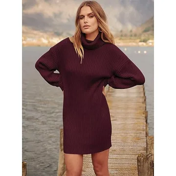 ANRABESS Women Oversized Sweater Dress Turtleneck Batwing Long Sleeve Ribbed Knit Loose 2024 Fall Winter Casual Short Dress 240jiuhong-XS Wine
