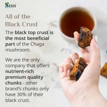 Sayan Siberian Pure Raw Chaga Mushroom Chunks 16 Oz - Premium Wild-Harvested Tea for Energy, Immune ...
