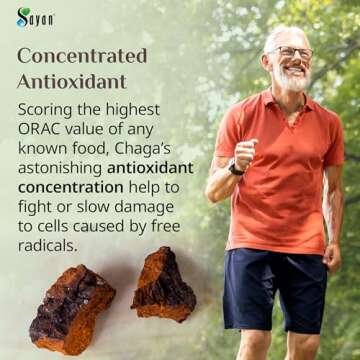 Sayan Siberian Pure Raw Chaga Mushroom Chunks 16 Oz