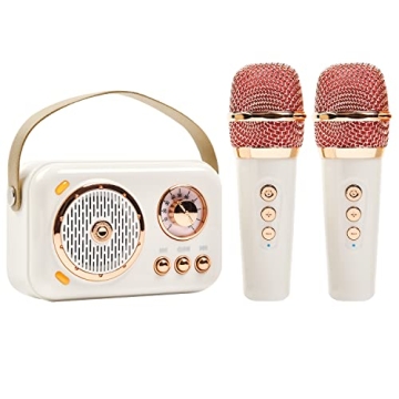 Retro Bluetooth Karaoke Speaker Set with Microphones - Perfect Gift for Music Lovers