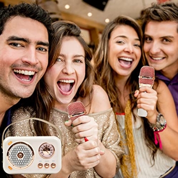 Retro Bluetooth Karaoke Speaker Set Perfect for Kids and Adults