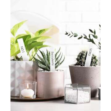 Homenote 200 Pcs 4 Inch Plastic Plant Labels Waterproof Plant Tags for Seedling,Vegetable Gardening ...