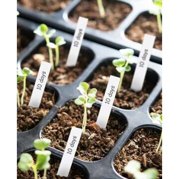 Homenote 200 Pcs 4 Inch Plastic Plant Labels Waterproof Plant Tags for Seedling,Vegetable Gardening Tags,Garden Markers Outdoor for Plants Name Sign with Permanet Marking Pen,White