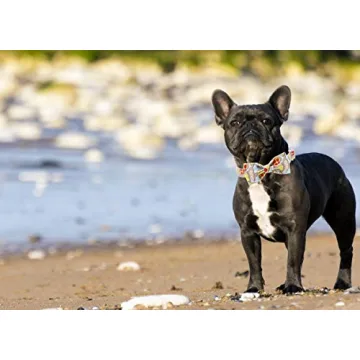 Stylish Adjustable Dog Collar with Bowtie for Pets